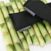 Ever Bamboo